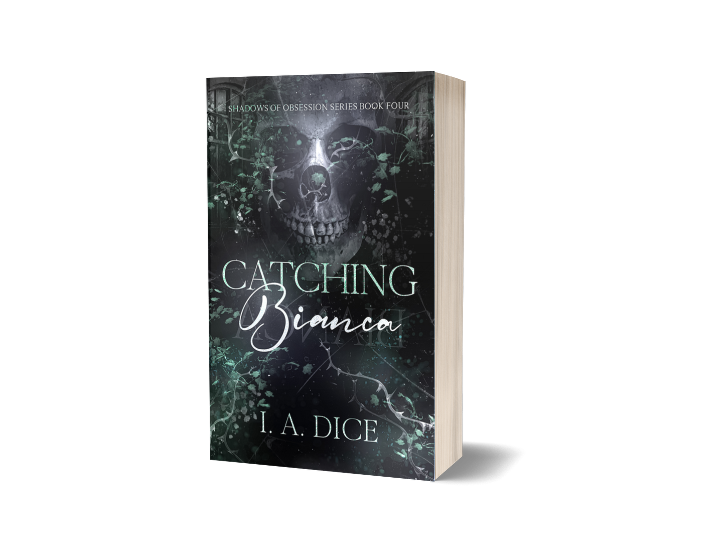 Catching Bianca - Standard Paperback