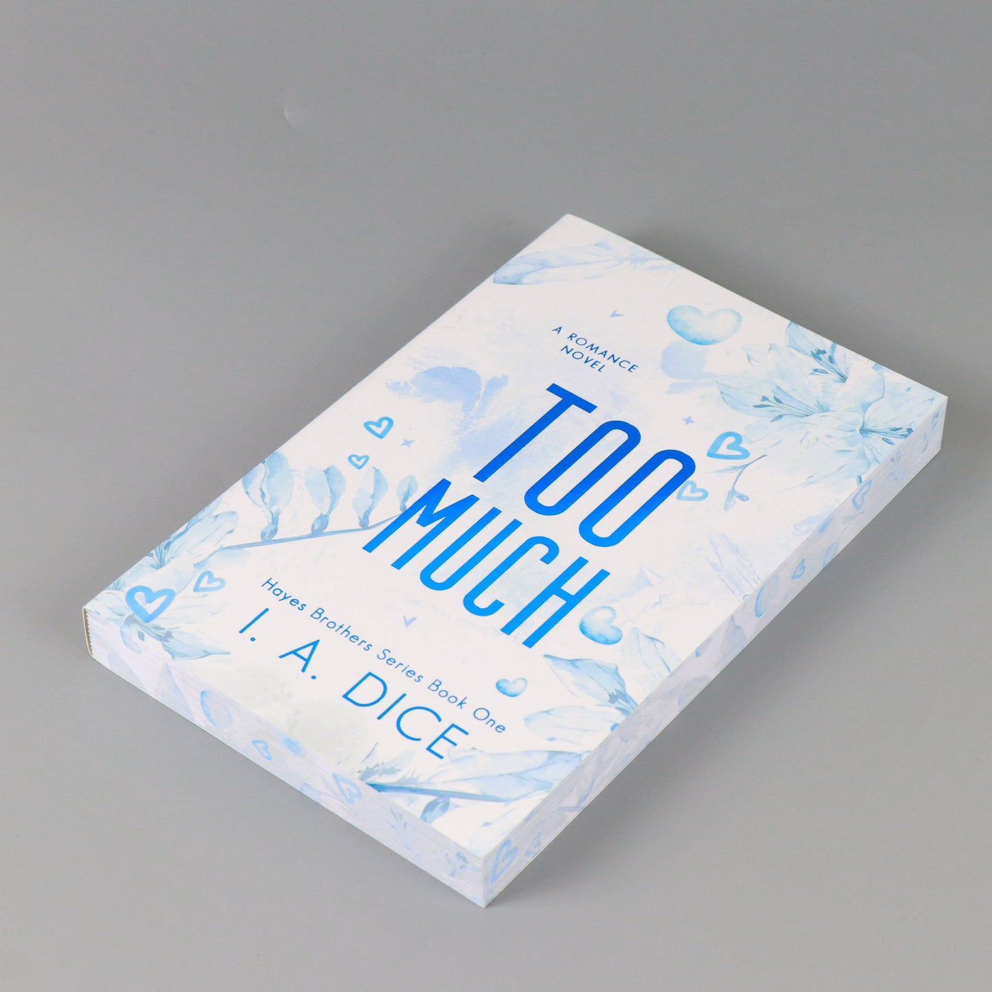 OUTLET Too Much: Hayes Brothers Book 1
