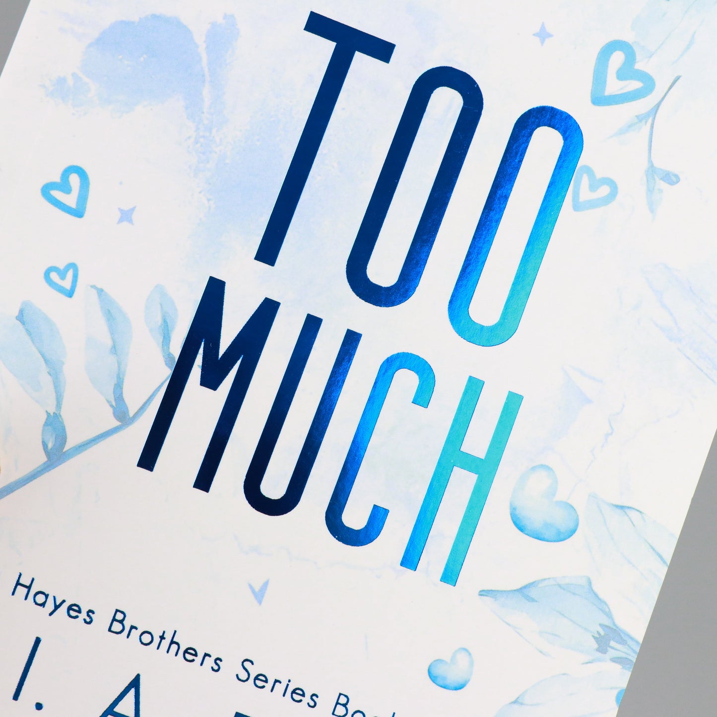 OUTLET Too Much: Hayes Brothers Book 1