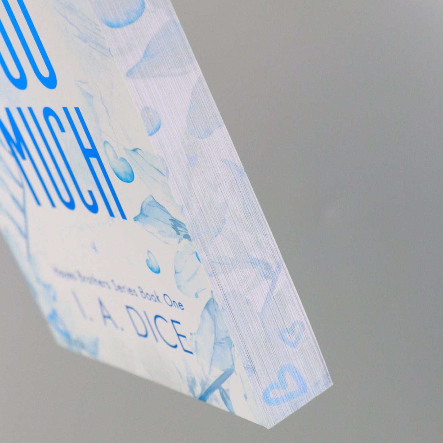 Trop de choses : Les frères Hayes, tome 1