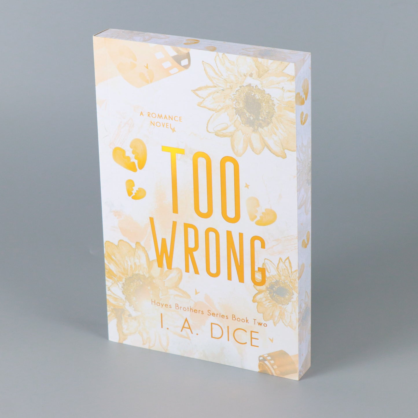 Too Wrong: Hayes Brothers Book 2