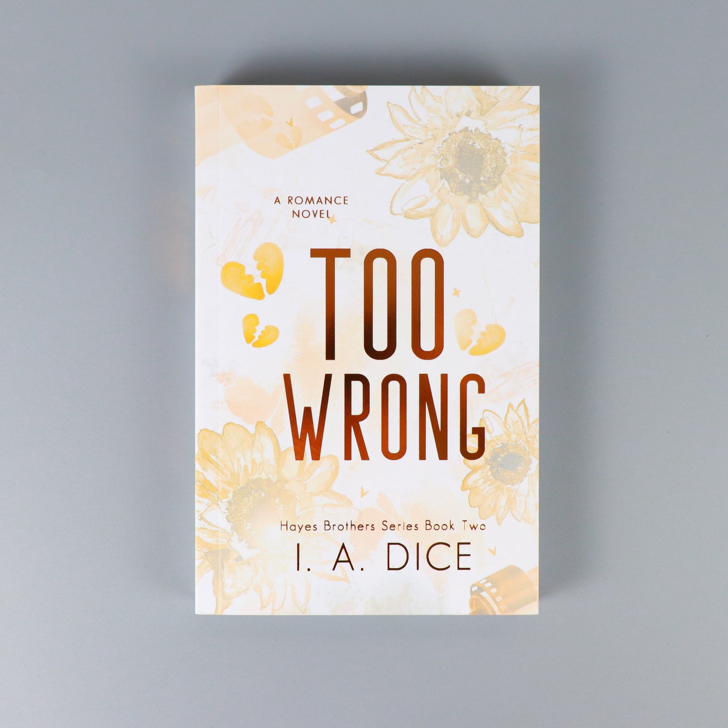 Too Wrong: Hayes Brothers Book 2