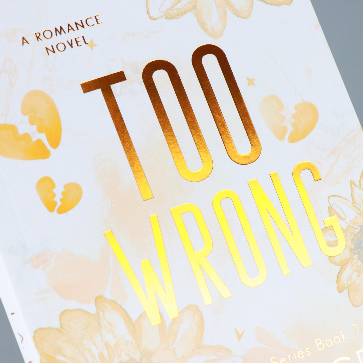 Too Wrong: Hayes Brothers Book 2