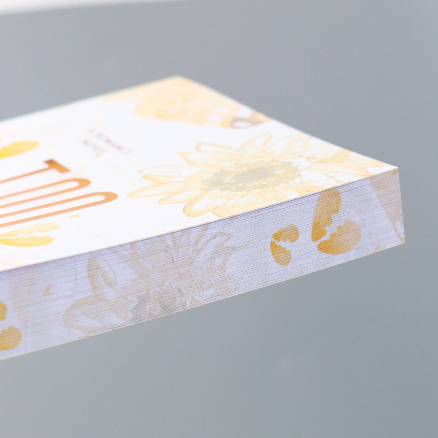 Too Wrong: Hayes Brothers Book 2