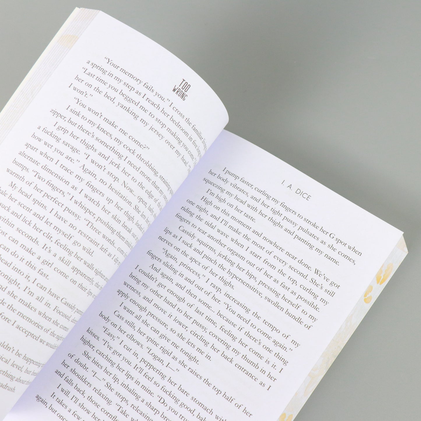 Too Wrong: Hayes Brothers Book 2