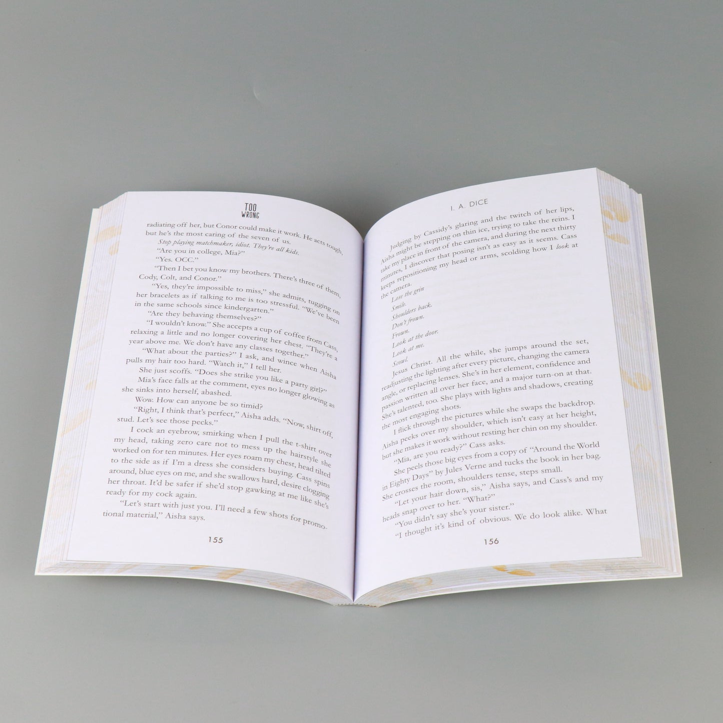 Too Wrong: Hayes Brothers Book 2