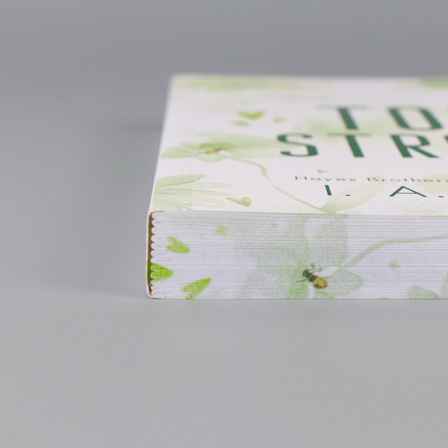 Too Strong: Hayes Brothers Book 4