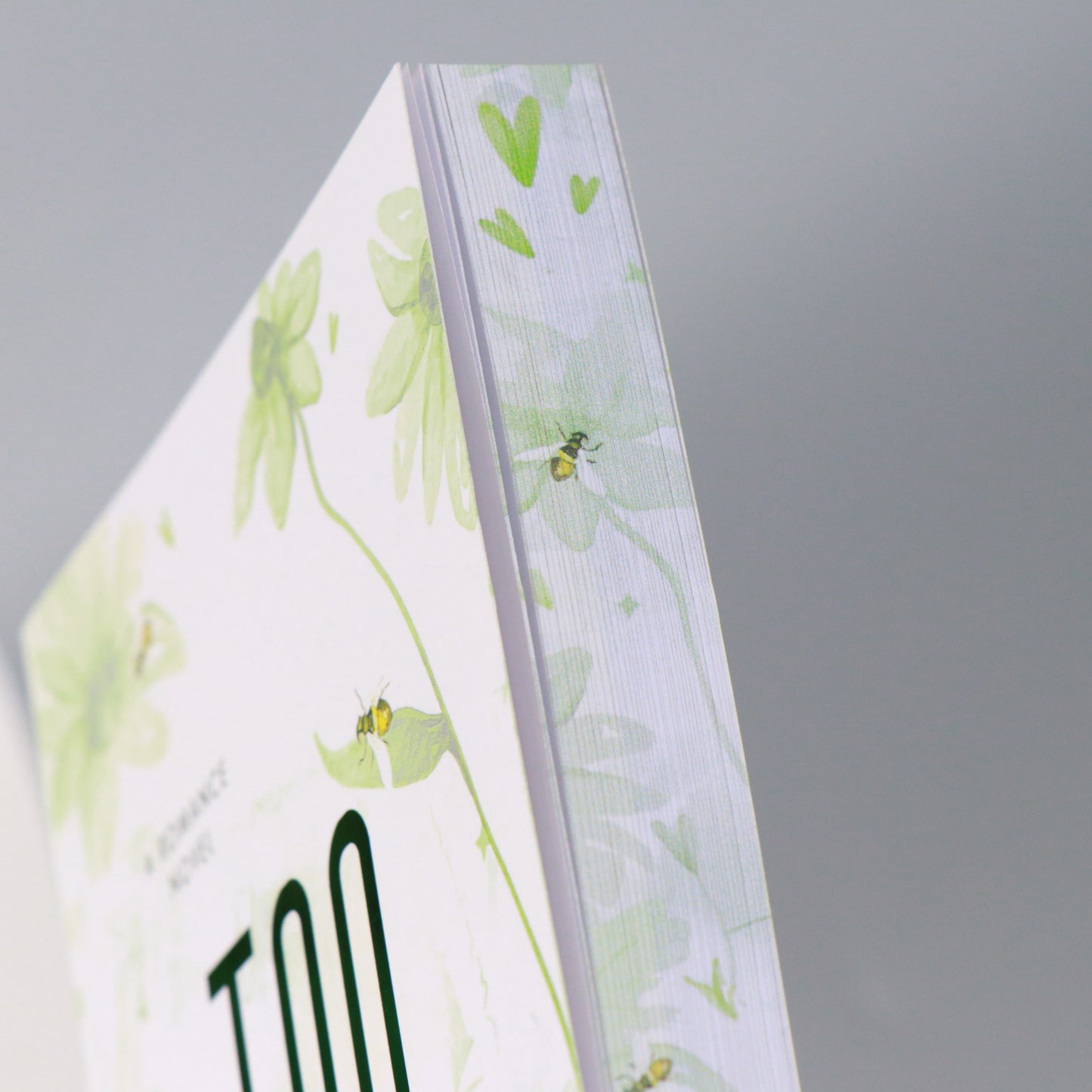 Too Strong: Hayes Brothers Book 4