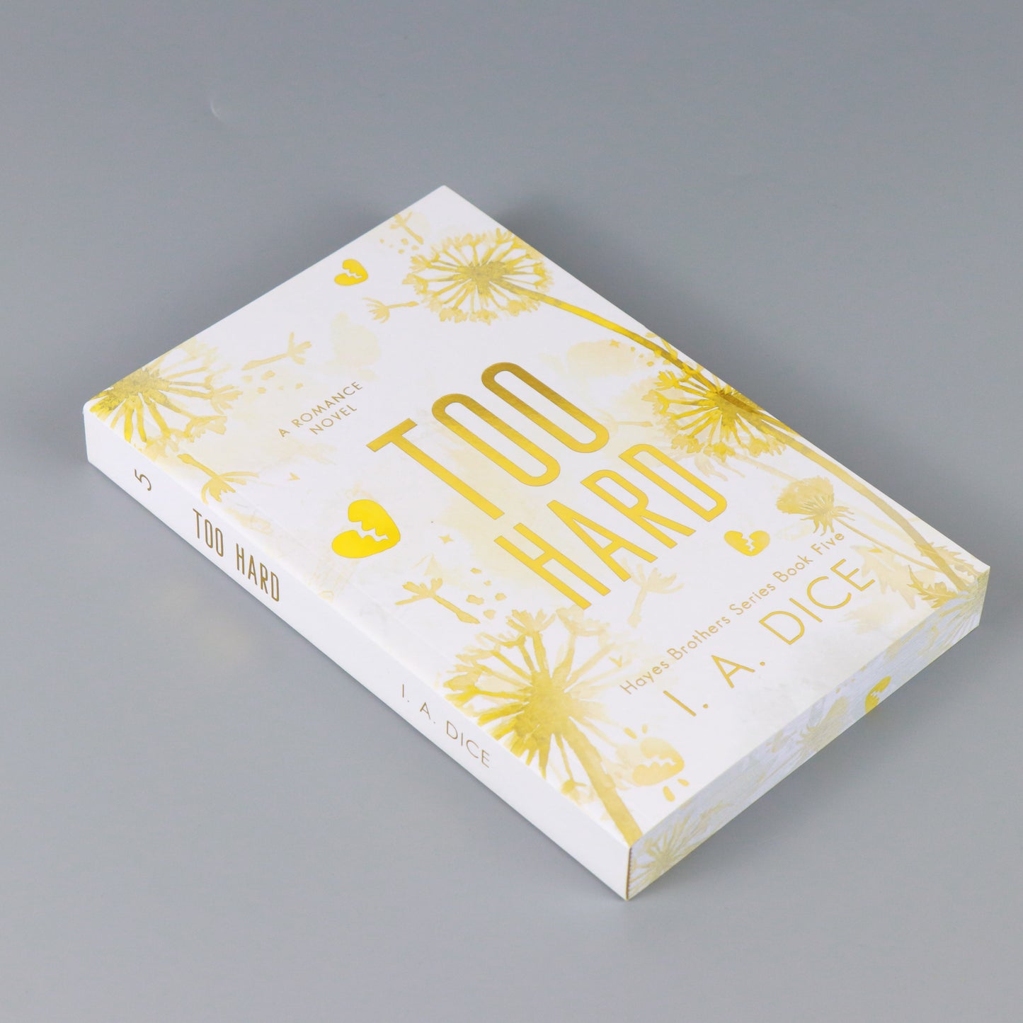 Too Hard: Hayes Brothers Book 5