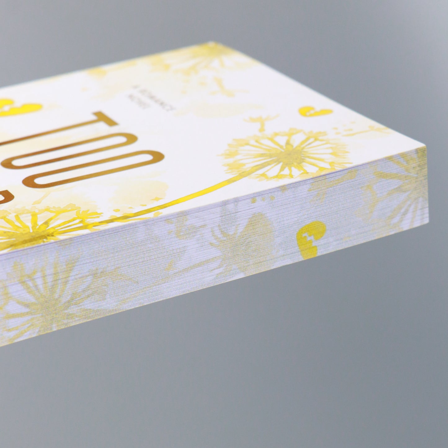 Too Hard: Hayes Brothers Book 5