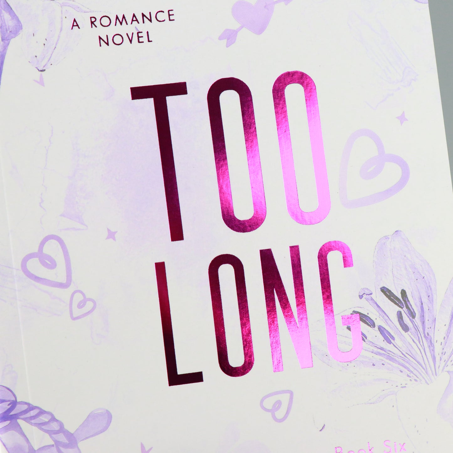 Trop long : Hayes Brothers, tome 6