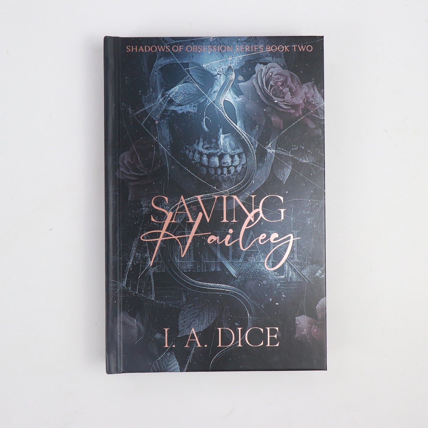 Saving Hailey - Signed Special Edition - (Hardback) Book 2