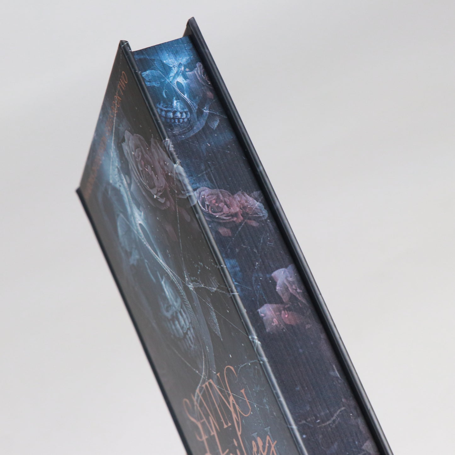 Saving Hailey - Signed Special Edition - (Hardback) Book 2