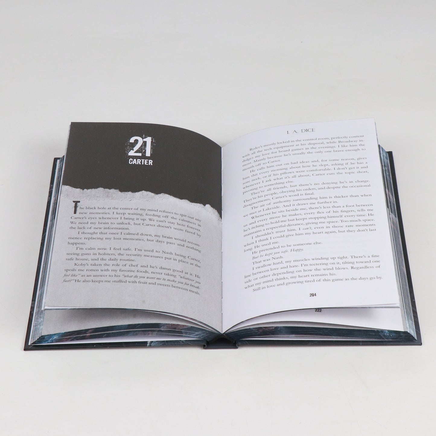 Saving Hailey - Signed Special Edition - (Hardback) Book 2