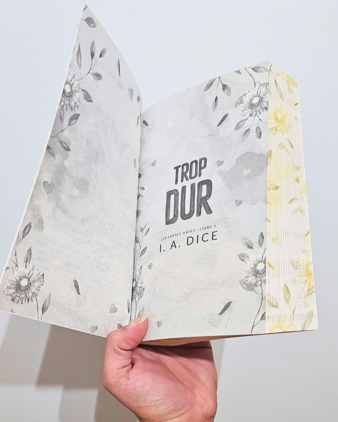 Hayes Brothers Series – Deluxe French Edition - Signed Collector’s Set